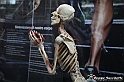 VBS_3103 - Mostra Body Worlds
